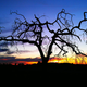 Image for article titled 44 Of The Best Smartphone Photos You Can Take